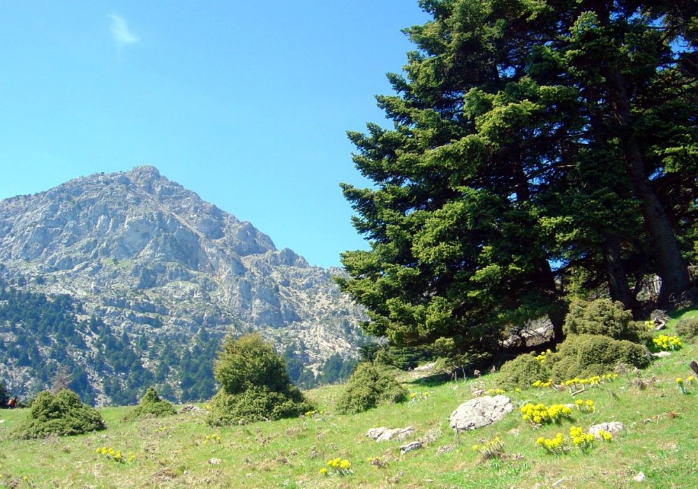 #sliderCaption5 artemisio-mountain__art-big.jpg