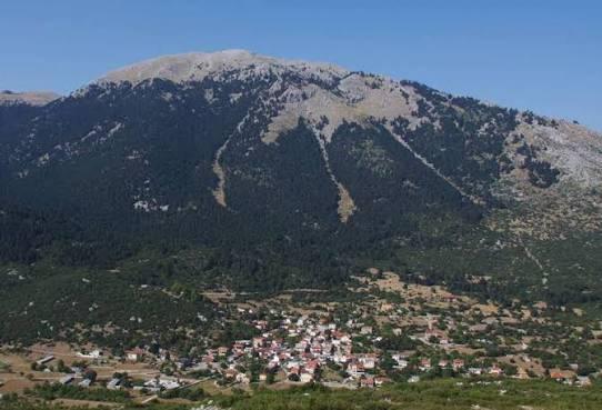 ΕΛΙΚΩΝΑΣ