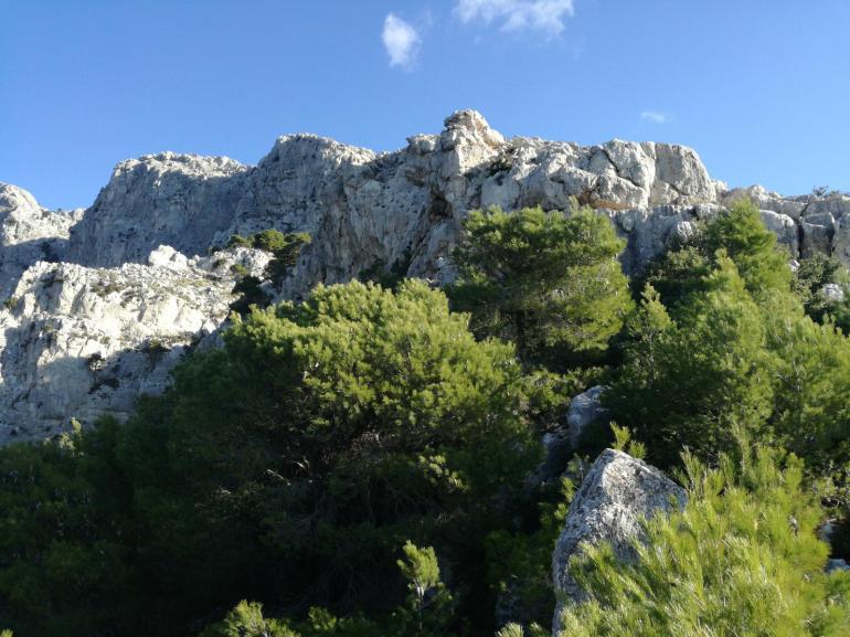 ΠΑΡΝΗΘΑ