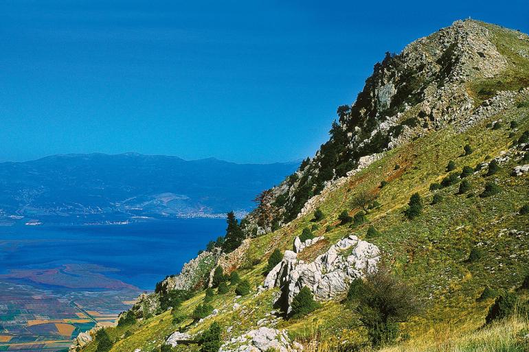 ΚΑΛΛΙΔΡΟΜΟ 31/3/2024