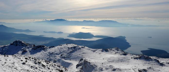 ΕΛΙΚΩΝΑΣ