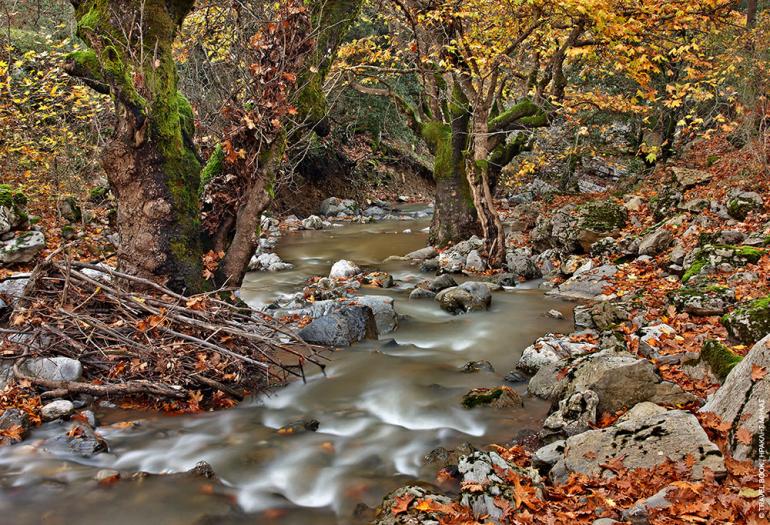 ΟΘΡΥΣ 24-25/10
