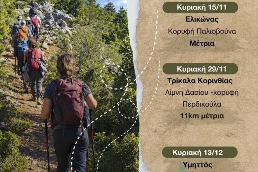 ΠΡΟΓΡΑΜΜΑ ΟΡΕΙΒΑΤΙΚΟΥ ΤΜΗΜΑΤΟΣ