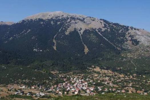 ΕΛΙΚΩΝΑΣ