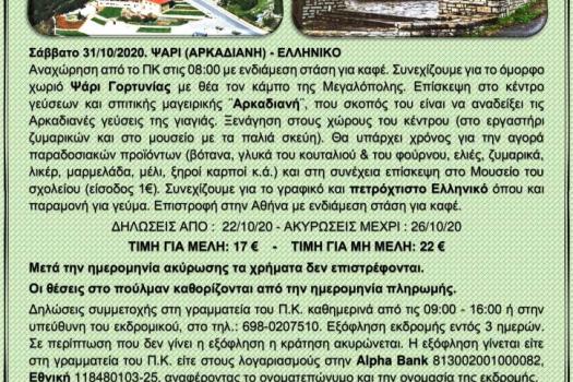 ΨΑΡΙ (ΑΡΚΑΔΙΑΝΗ) - ΕΛΛΗΝΙΚΟ
