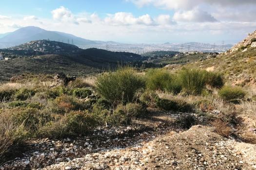ΠΕΝΤΕΛΗ 11/2/2017