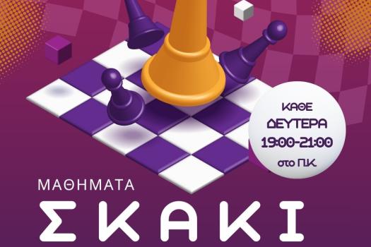 ΤΜΗΜΑ ΣΚΑΚΙ