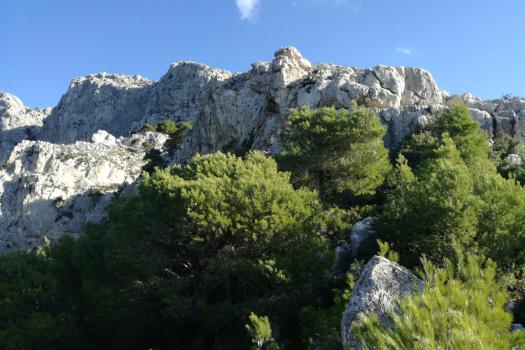 ΠΑΡΝΗΘΑ
