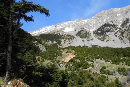 ΜΑΥΡΑ ΛΙΘΑΡΙΑ (ΠΑΡΝΑΣΣΟΣ)
