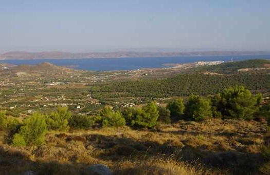 ΛΑΥΡΕΩΤΙΚΗ