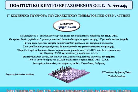 ΕΣΩΤΕΡΙΚΟ ΤΟΥΡΝΟΥΑ ΣΚΑΚΙ