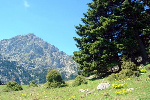 ΑΝΑΒΟΛΗ ΕΞΟΡΜΗΣΗΣ
