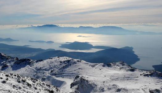 ΕΛΙΚΩΝΑΣ