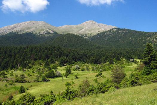 ΦΛΑΜΠΟΥΡΙΤΣΑ