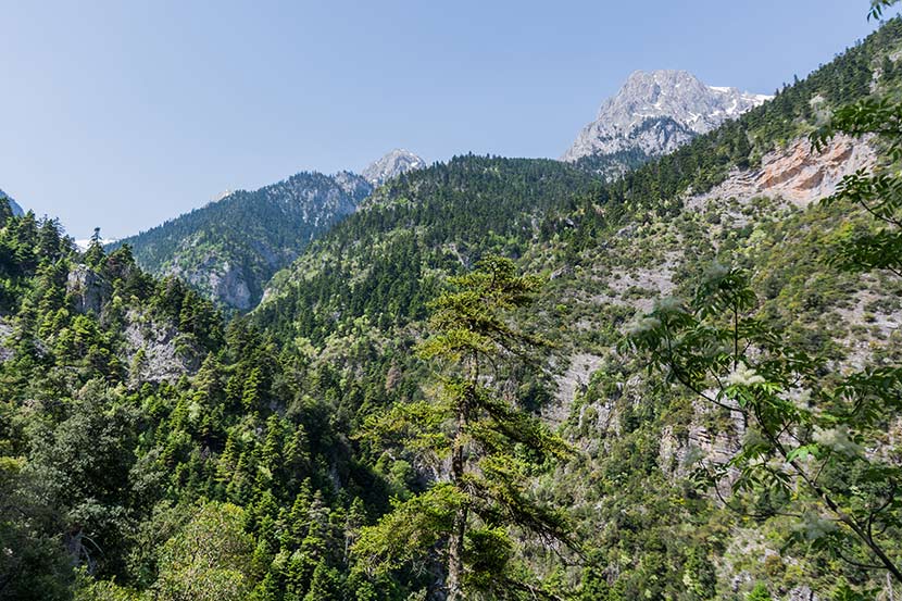 ΤΙΘΟΡΕΑ ΛΟΚΡΙΔΟΣ (ορειβατικό τμήμα)